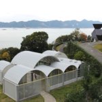 風光明媚な大三島を感じ、いざ建築へ「今治市伊東豊雄建築ミュージアム」