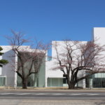 街と建築・アートをブレンドする「十和田市現代美術館」